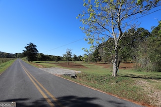 46 Buck Gardner Rd, Menlo, GA 30731