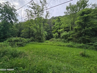 1728 Cement Hollow Rd, Jersey Shore, PA 17740