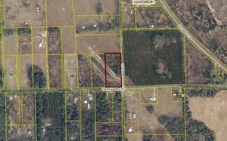 LOT 8 County Road 252, Dowling Park, FL 32060
