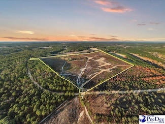 142 AC Mcbride Rd, Patrick, SC 29584