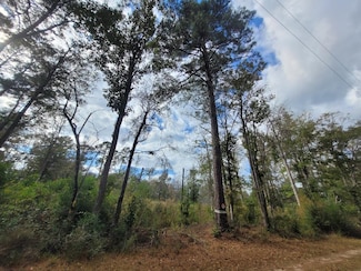 188 Private Road 8040, Kirbyville, TX 75956