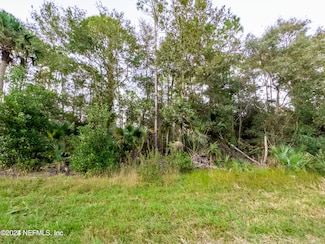 113 Laisy Dr, Georgetown Cove, FL 32139