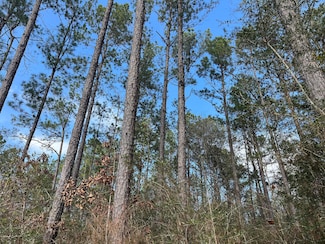 0 U S 45, State Line, MS 30362