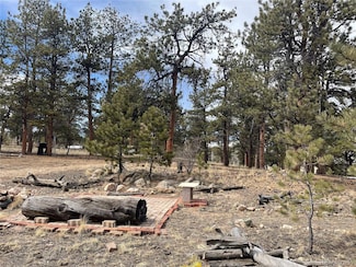 133 Shenandoah Path, Hartsel, CO 80449