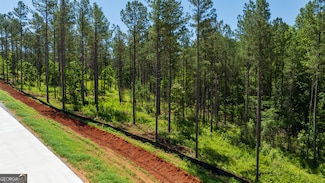 LOT 6 Farm Club Ct, Newnan, GA 30263