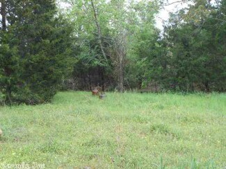 0 Pleasant Grove Rd Unit 10349660, Wideman, AR 72585