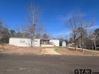17323 Lakeview Dr, Flint, TX 75762
