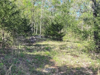 TBD Indian Valley Ln, Mammoth Spring, AR 72554