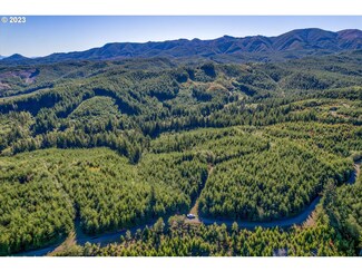 8 Dell Creek Mainline Rd, Naselle, WA 98638