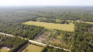 0 NW 136th St, Manattee Road, FL 32626