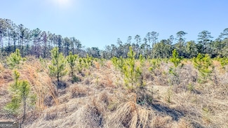 0 N Highway 301 Unit 7 10528530, Statesboro, GA 30461