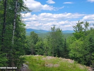 15 Lost Mine Rd, Johnsburg, NY 12853