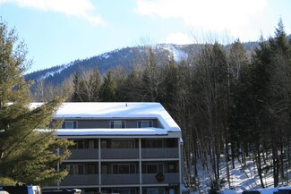 8 Fall Line Dr Unit W216, Newry, ME 04261