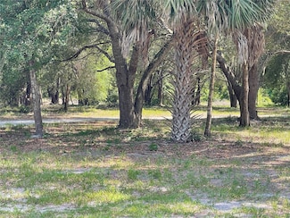 0 NW 28th Ln Unit MFRTB8387394, Chiefland, FL 32626