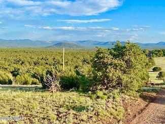 0 N3208 Lots C & D 19 62 Acres Unit 255146, Vernon, AZ 85940