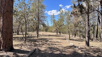 Lot 44 S Diamond Point Unit 44, Payson, AZ 85541
