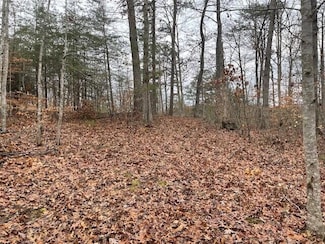 2878 Logan Hollow-Copperas Branch Rd, Morehead, KY 40351