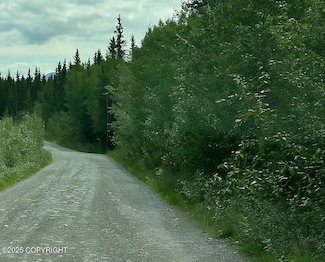 Lot 21 Dixon Dr, Copper Center, AK 99573