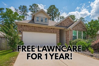 151 Scarlet Maple Ct, Willis, TX 77318