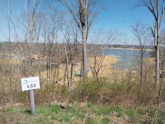 Lot 133 W Point Dr, Dandridge, TN 37725