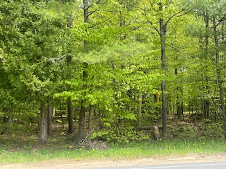 00 Trudeau Rd, Cadyville, NY 12918