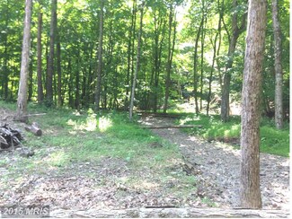 1534 Mountain Air Dr, Springfield, WV 26763