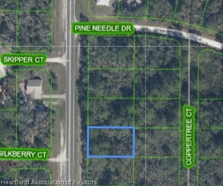 9776 S Orange Blossom Blvd, Sebring, FL 33875