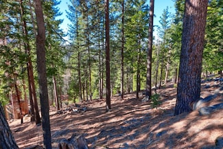 7349 Yosemite Park Way, Yosemite National Park, CA 95389