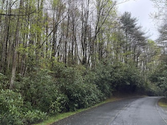 Lot 9 Holly Rd, Sapphire, NC 28774