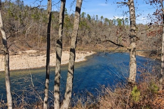 000 Blue Ribbon Landing, Dora, MO 65637