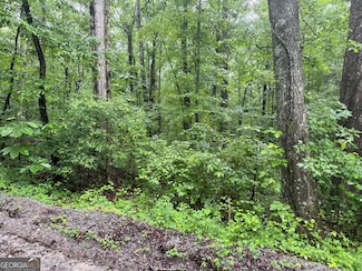 0 Vaughn Rd Unit 10531570, Temple, GA 30179