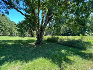 2215 Noah Valley Rd Unit 1, Jacksonville, AL 36265