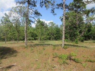 3201 S Highway 314 A, Ocklawaha, FL 32179