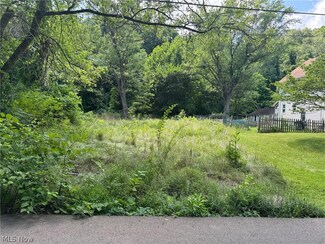 458 Hickory St, Akron, OH 44303