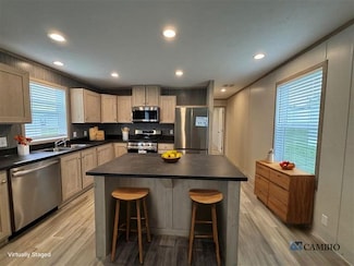 40 Bluebird Hill Dr Unit 372, Lake Orion, MI 48359