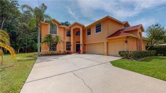 4162 Rotherham Ct, Palm Harbor, FL 34685