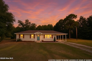 337 Oak Ridge Church Rd, Hamlet, NC 28345