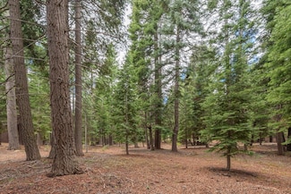 10986 Innsbruck Ave, Truckee, CA 96161