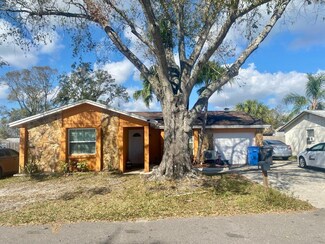 10107 Lazy Creek Ct, Tampa, FL 33615
