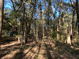 29 Capers Island Cir, St. Helena Island, SC 29920