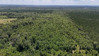 Fat Martin Road Lot Unit Wp001, Saline, LA 71070