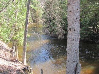 13366 Cecil Bay Rd Unit 1.10 Acres, Carp Lake, MI 49718