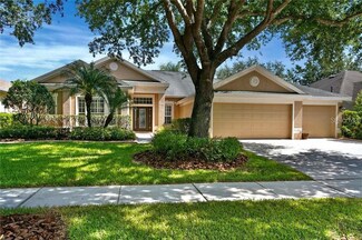 10240 Shadow Branch Dr, Tampa, FL 33647