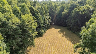 2476 Ennis Mountain Rd, Afton, VA 22920