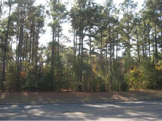 2.0 ac Park St, Nacogdoches, TX 75961