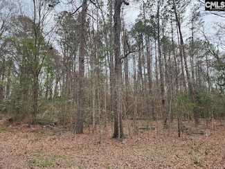 W on Giff St, Newberry, SC 29108