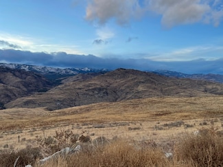 2xx Buckhorn Mountain Rd, Pateros, WA 98846