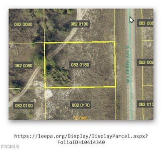 650 Mulberry Ave S, Lehigh Acres, FL 33974