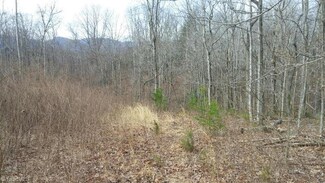 000 Lumber Plant Rd, Lowgap, NC 27024