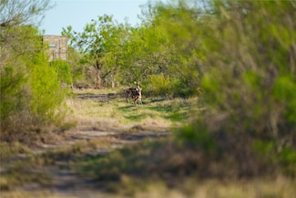 12355 Texas 131, Brackettville, TX 78832